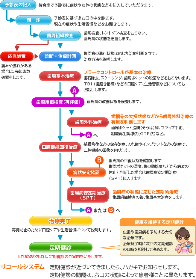 歯科診療システム：歯周病から歯を守る歯周病安定期治療（ＳＰＴ）の流れ