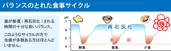 虫歯になりにくいバランスのとれた食事サイクル