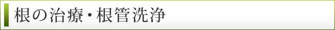 根の治療・根管洗浄