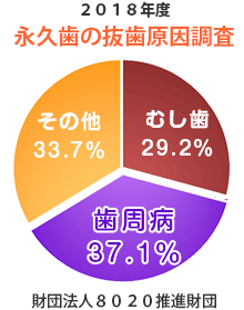 永久歯の抜歯原因調査。歯周病が原因で歯を失った方は40%を超えています！