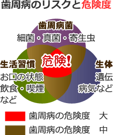 歯周病菌と歯周病発症リスク