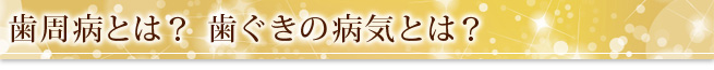 歯周病とは？ 歯ぐきの病気とは？