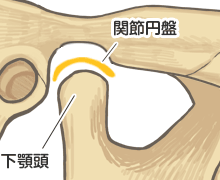 正常な顎関節