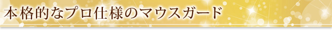 本格的なプロ仕様のマウスガード